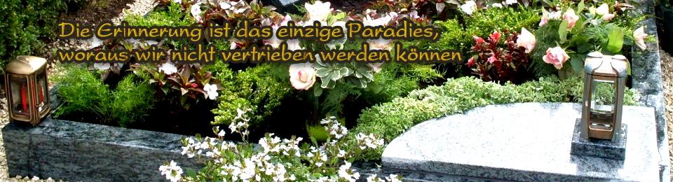 header_120