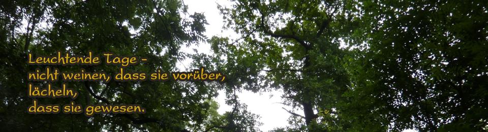 header_200