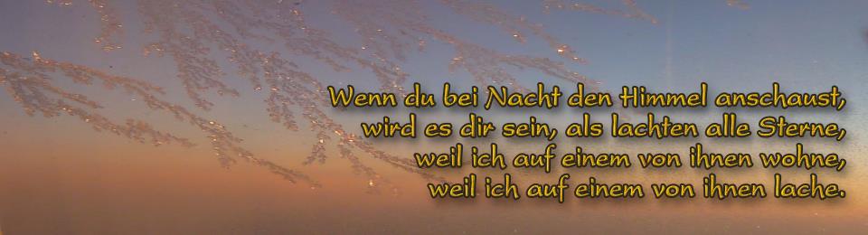 header_210