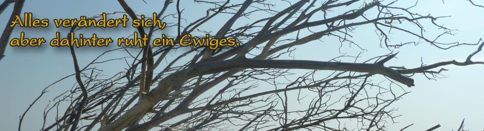 header_220