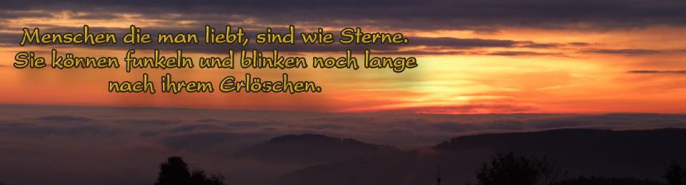 header_300