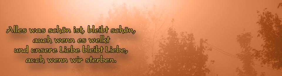 header_310