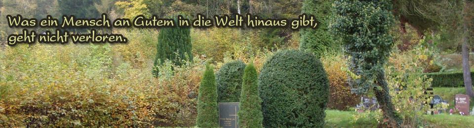 header_400